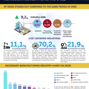 Vietnam’s Industry – Positive Growth Outlook for 2025 (3)